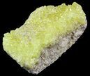 Sulfur Crystals on Matrix - Bolivia #51581-2